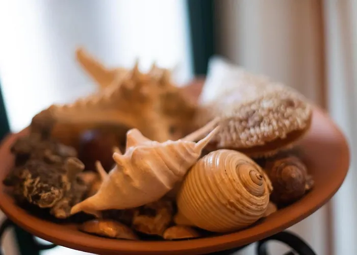 Captain Andrew Private House * 디아코프토